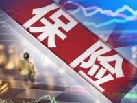 给游客上好保险！各地文旅纷纷出手……