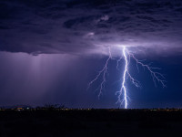 大跳水！突发警告：“黑天鹅”！