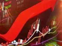 “最强板块”牛市不停？ 机构：继续看好明年表现！